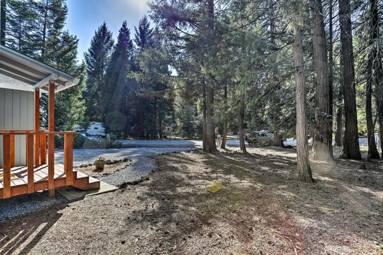 Base Camp Lassen Home 13 Mi To Volcanic Natl Park Shingletown Εξωτερικό φωτογραφία