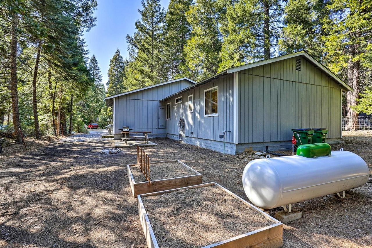Base Camp Lassen Home 13 Mi To Volcanic Natl Park Shingletown Εξωτερικό φωτογραφία